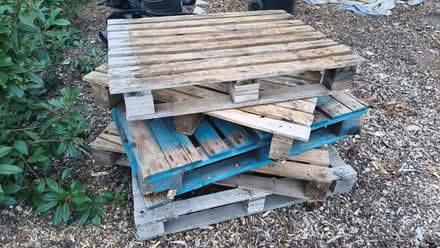 Photo of free Wooden crates / pallets / Timber (Green Street Green TN14) #2