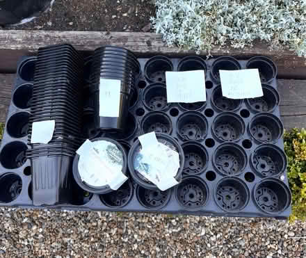 Photo of free Seed pots (Bromley,Hayes BR2) #2