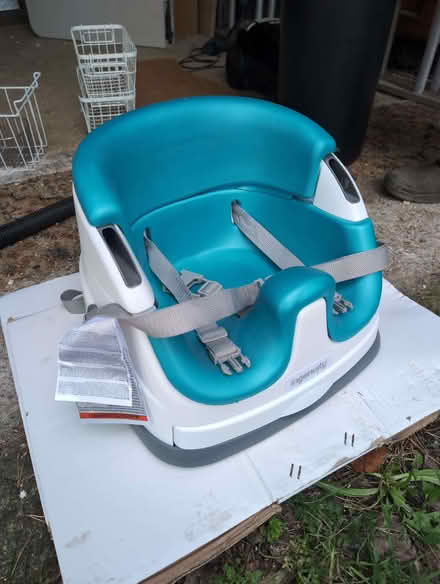 Photo of free Ingenuity Baby Seat (Skelsmergh LA8) #1
