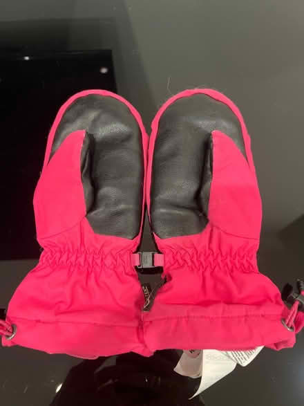 Photo of free Youth M North Face Mittens (Old Town) #2