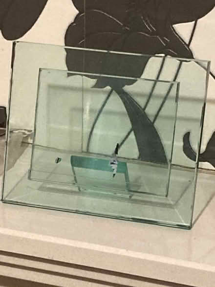Photo of free Glass photo frame (Willingdon BN22) #1