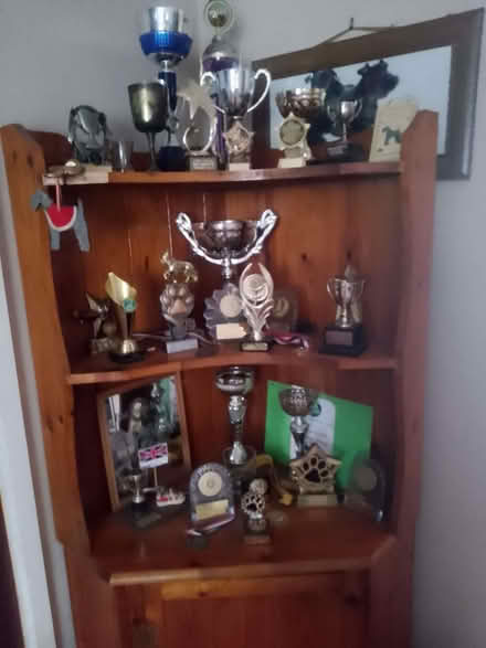 Photo of free Showing trophies & rosettes (Mousehold NR3) #1