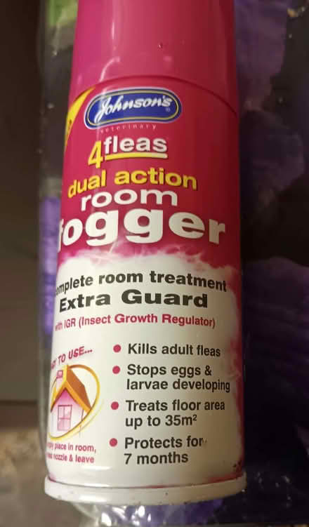 Photo of free flea killer (Allington NG32) #1