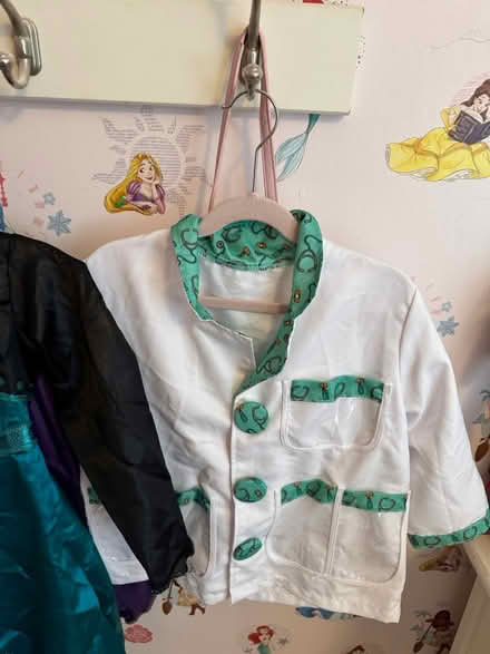 Photo of free Halloween costumes (Princeton tree streets) #4