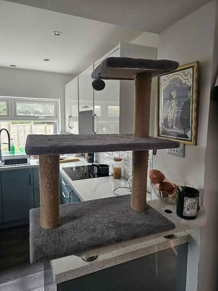 Photo of free Cat scratching platfrom (West End LA3) #1