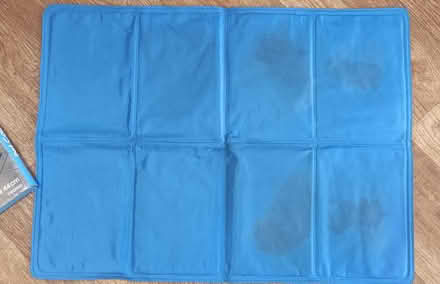 Photo of free Pet cooling mat 60 x44cm (Chippenham SN15) #2