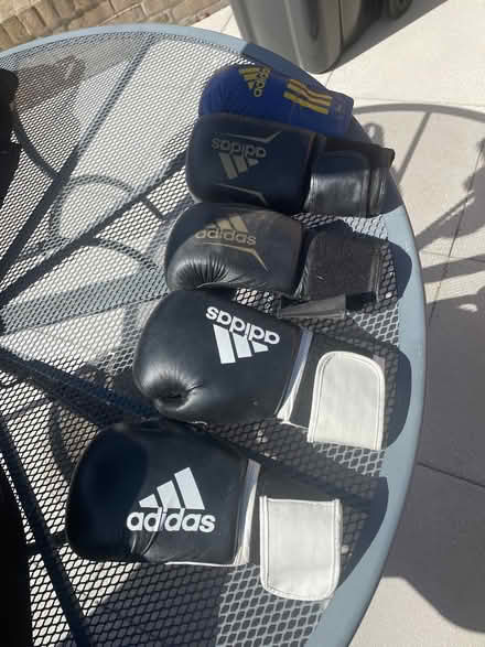 Photo of free Boxing gloves (Lexden CO3) #1