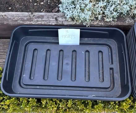 Photo of free Seed trays (Bromley,Hayes BR2) #2