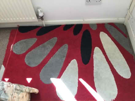 Photo of free Two matching rugs (Sturry CT2) #1