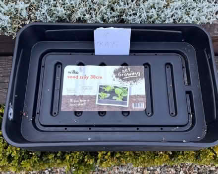Photo of free Seed trays (Bromley,Hayes BR2) #1