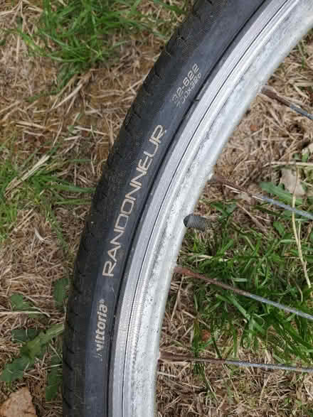 Photo of free bicycle wheel (Dyke Road area BN1) #2