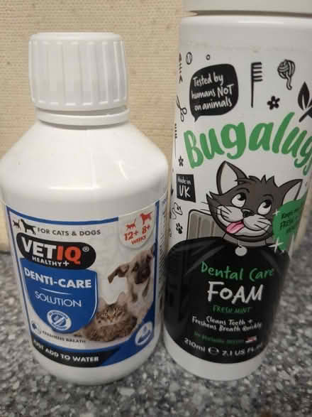 Photo of free Cat dentalproducts (Bedford MK40) #1