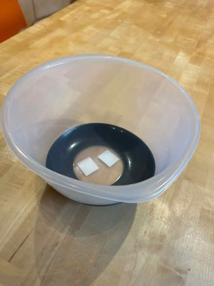 Photo of free Large plastic bowl (Horsham RH13) #3