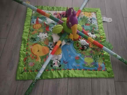 Photo of free Baby Play Mat (Fisher Price) (CR5) #1
