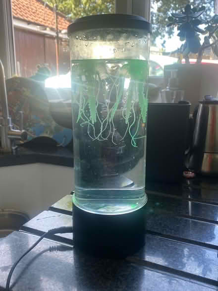 Photo of free Jelly fish lamp (Binfield Heath RG9) #1
