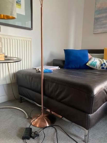Photo of free Copper multi armed floor lamp (Lewes BN7) #2