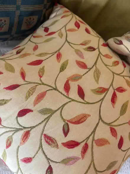 Photo of free 8 cushions (Battersea SW11) #4