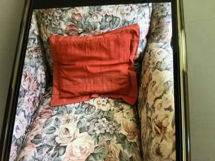 Photo of free Cushions (Sturry CT2) #2