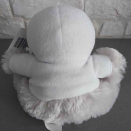 Photo of free Small teddy bear from PGL (Ealing Pitshanger W5) #3