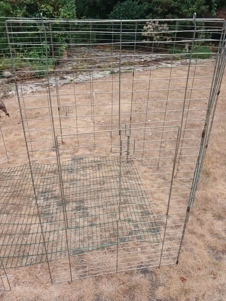 Photo of free Large piece metal grid/ wire mesh used previously for rabbit/ (Woking GU21) #2