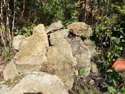 Photo of free Rocks for rockery (Headington, OX3) #1