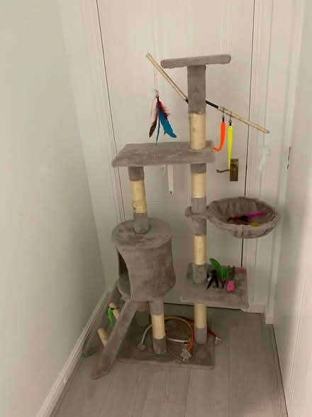 Photo of free Cat tower (Chafford Hundred RM16) #1