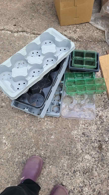 Photo of free Plant/propagation trays (Turves Green B31) #1