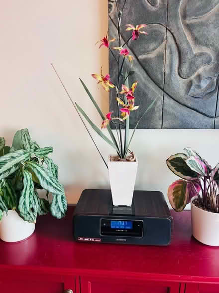 Photo of free Fake Tiger Orchid (West Bridgford NG2) #1