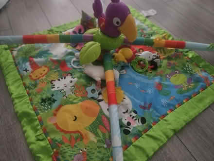 Photo of free Baby Play Mat (Fisher Price) (CR5) #2