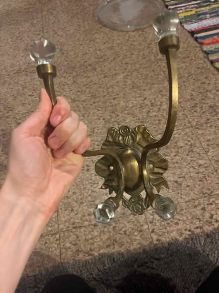 Photo of free Double wall hooks (Royal Oak, MI) #1