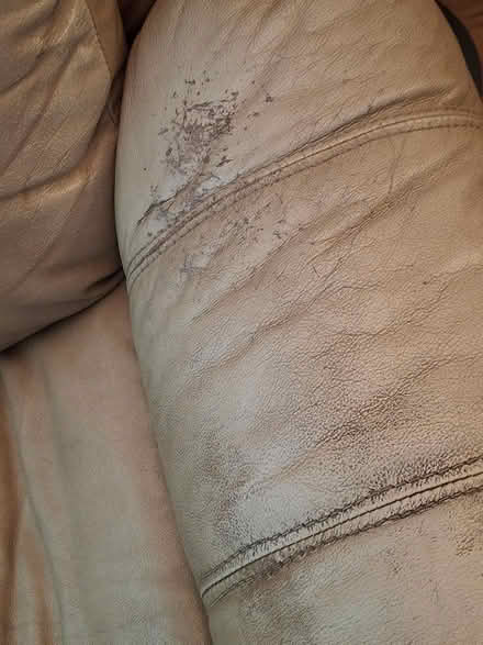 Photo of free 3 seat reclining couch (mckenzie lake se) #3
