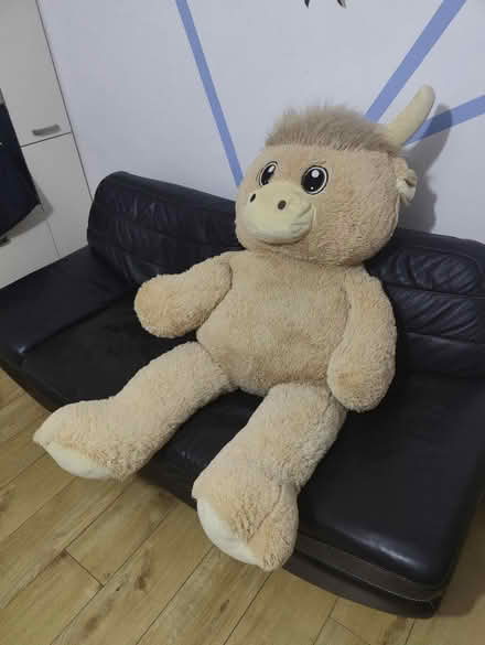 Photo of free Extra Large Teddy (Woodcote SM6) #1