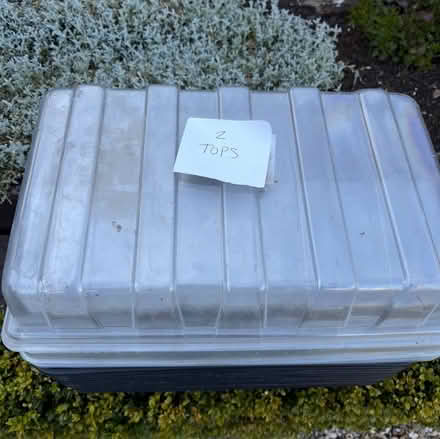Photo of free Seed trays (Bromley,Hayes BR2) #4