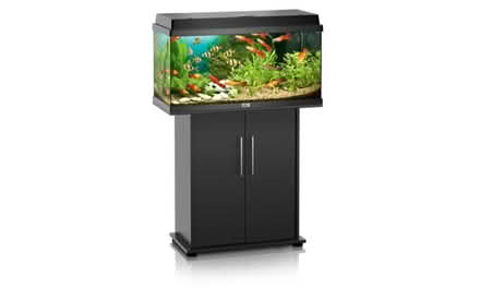 Photo of free 80 Litre Juwel aquarium with stand (Kilkenny) #1