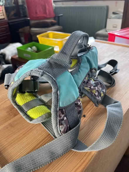 Photo of free Dog harness (Chelmsford CM2) #3