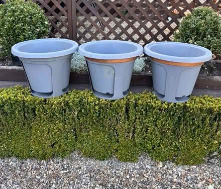 Photo of free Potato pots (Bromley,Hayes BR2) #1