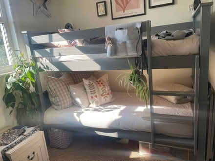 Photo of free Single Bunk bed (North Sheen TW9) #2