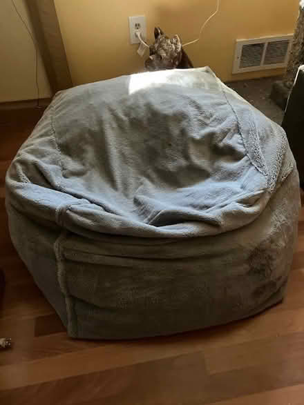Photo of free Large bean bag chair (Lake Forest Park) #1