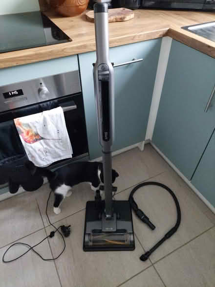 Photo of free Shark cordless hoover (Derby DE22) #1