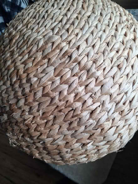 Photo of free Cat Tree (Warsash SO31) #2