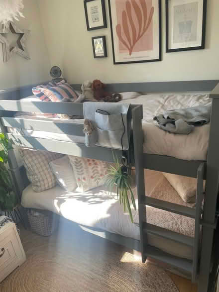 Photo of free Single Bunk bed (North Sheen TW9) #4