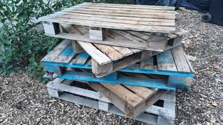 Photo of free Wooden crates / pallets / Timber (Green Street Green TN14) #1