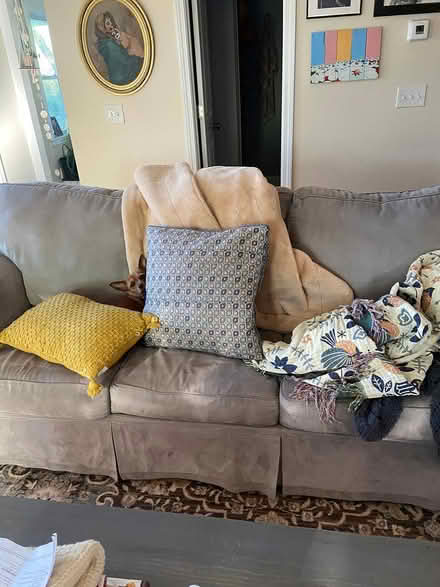 Photo of free Sleeper sofa (Peacedale) #1