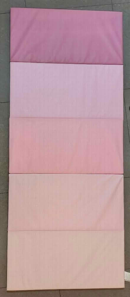 Photo of free 1840mmx770mmx30mm gym mat (Stopsley LU2) #1