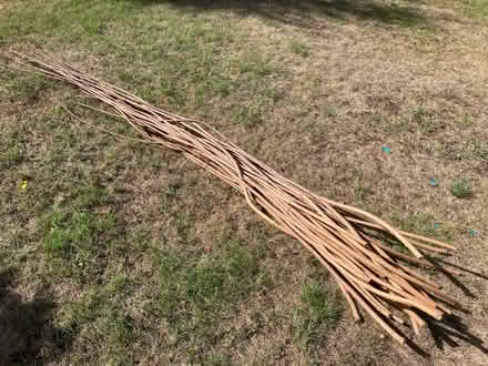 Photo of free Long sticks (Walderslade Bottom ME5) #1