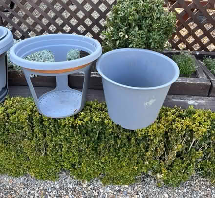 Photo of free Potato pots (Bromley,Hayes BR2) #2