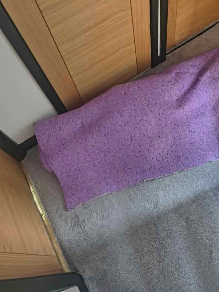 Photo of free Carpet Underlay (South Shields NE34) #1