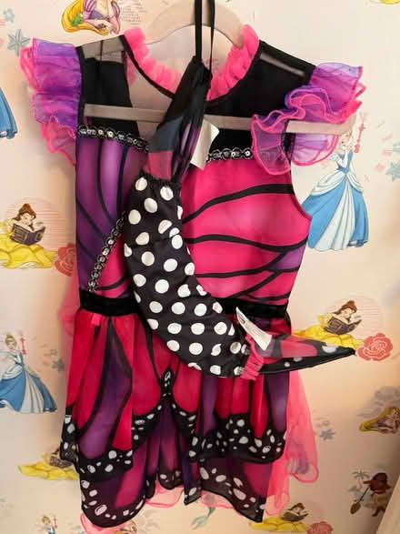 Photo of free Halloween costumes (Princeton tree streets) #2