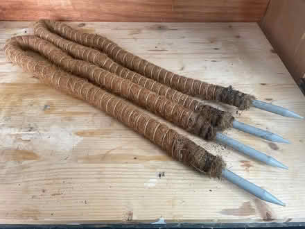 Photo of free 2 Flexible Mosss Poles (Wisewood/Hillsborough S6 4) #1
