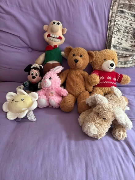 Photo of free Teddies (all or let me know if you want individual ones!) (Hulme M15) #1